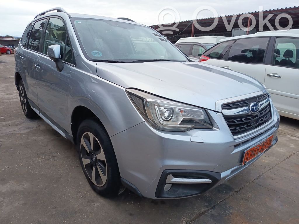 Forester SJ Forester  60009SG0529P