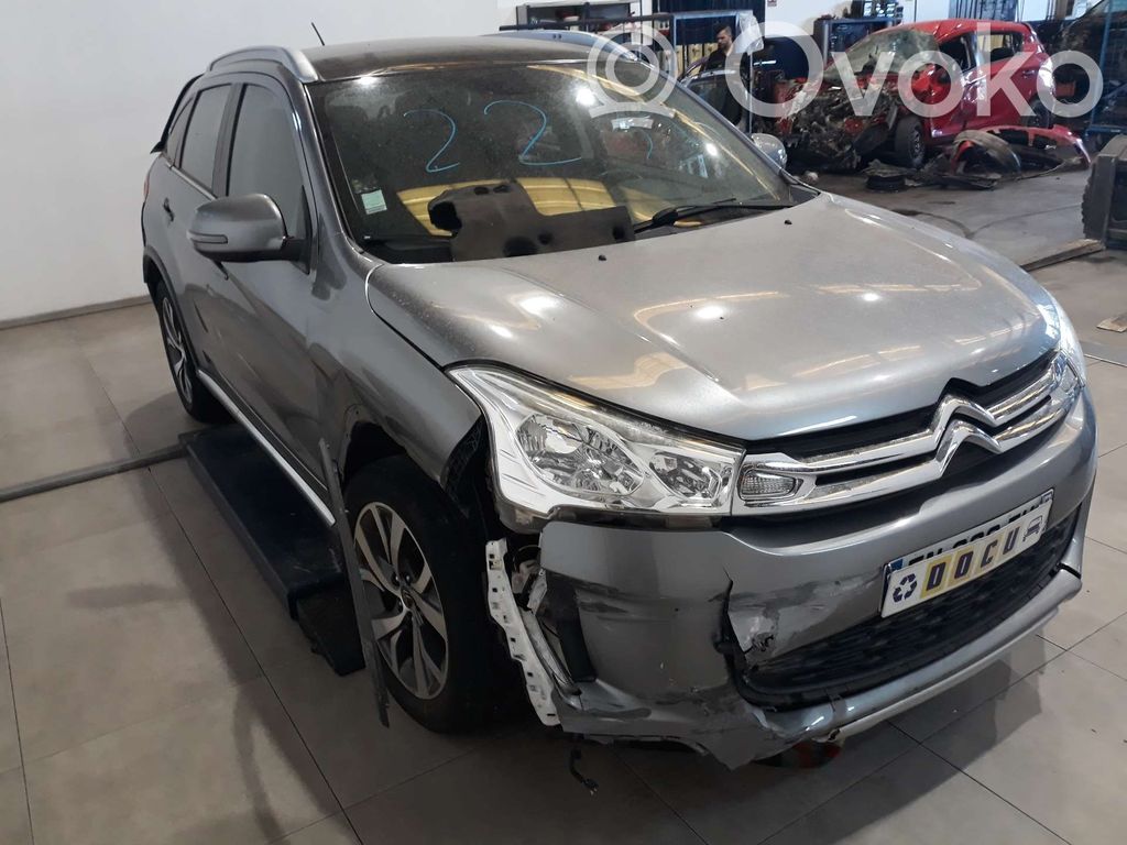 C4 Cactus C4 Picasso, Grand Picasso, Aircross, Cactus  8785A084