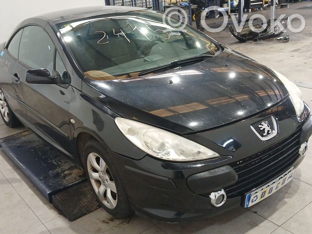 307 307  9002Y7