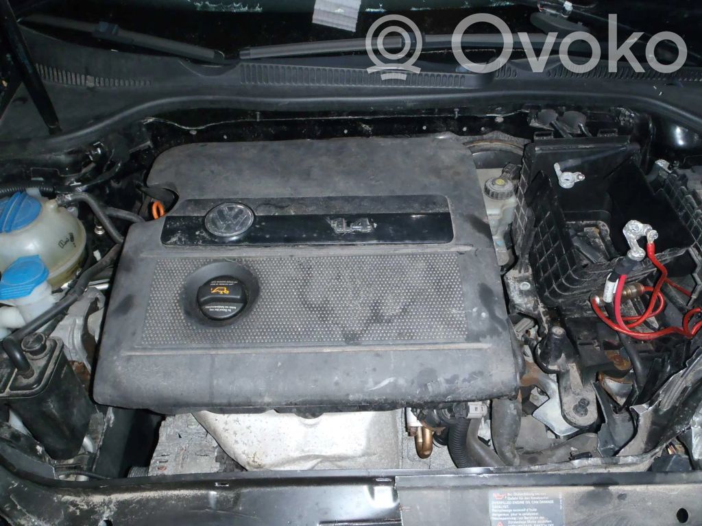 Golf V Golf  036906032AM