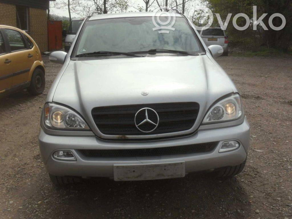 ML W163 ML-class, AMG (W163, W164, W166)