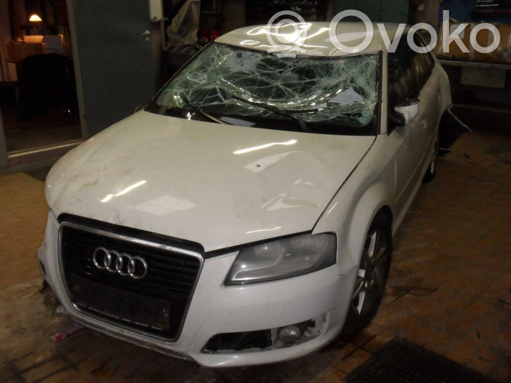 A3 S3 A3 Sportback 8P A3, S3  SPORESTANG