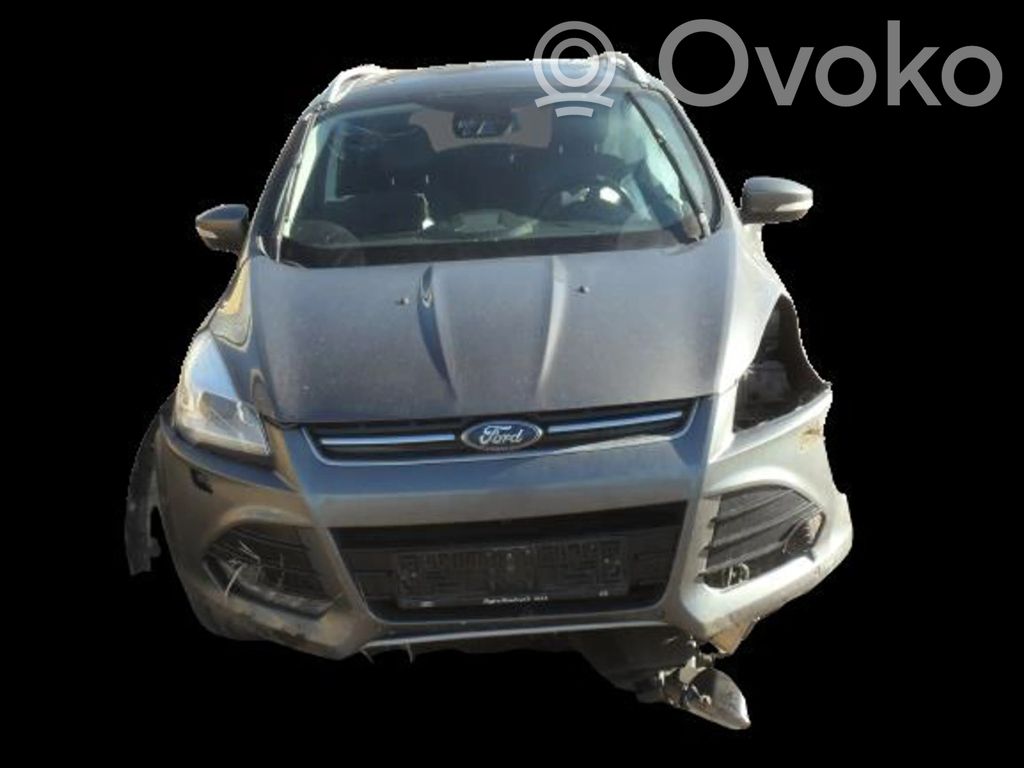Kuga I Kuga