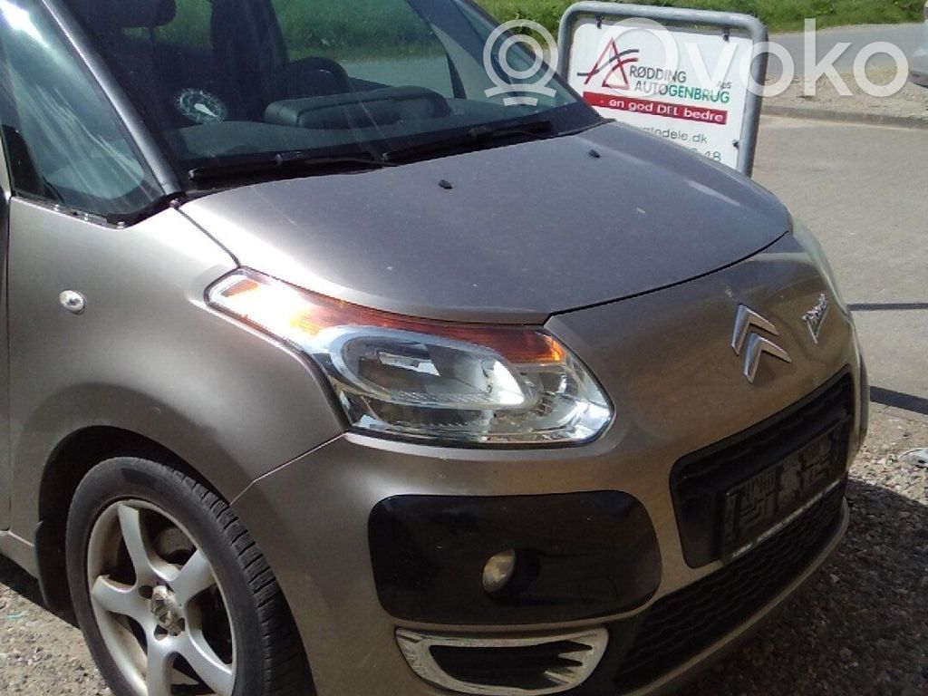 C3 Picasso C3, Pluriel, Picasso