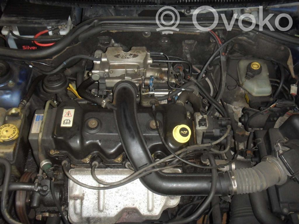 Escort Escort  92AB2C219AB