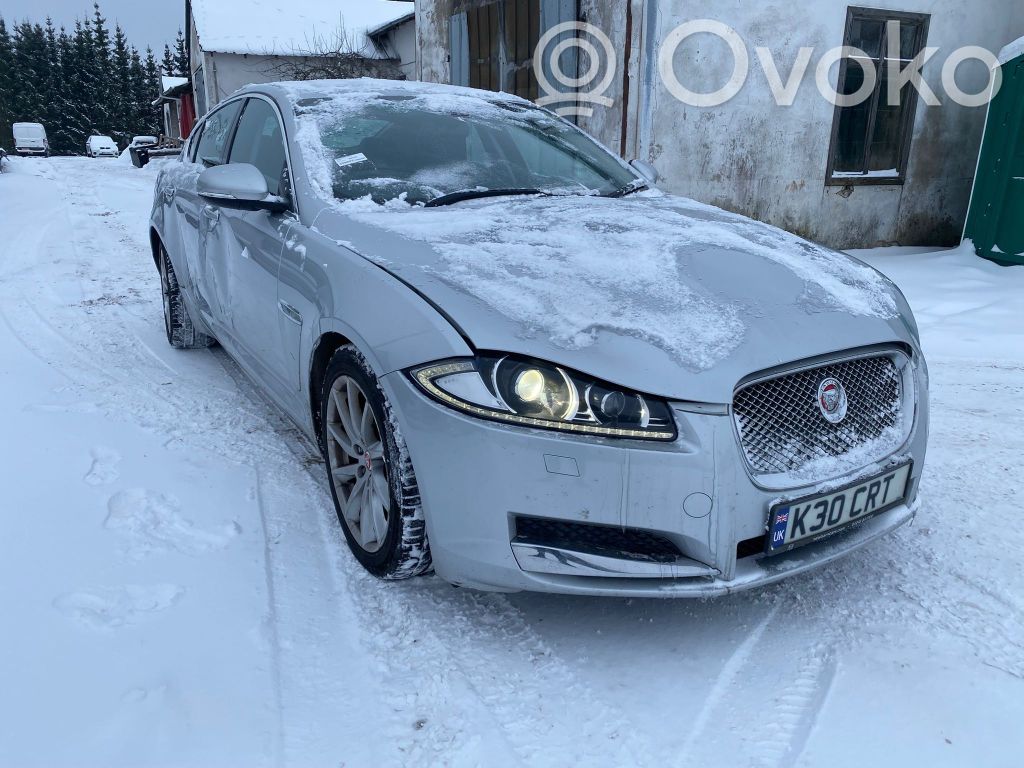 XF X250 XF  EX2312C520