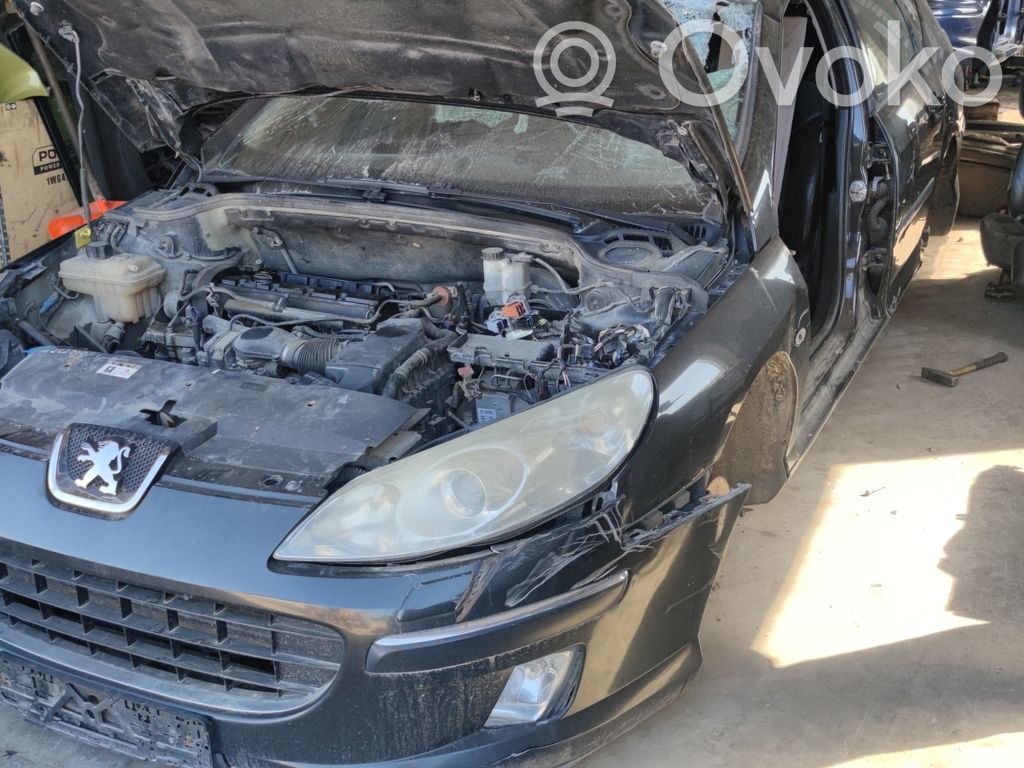 407 407  96526177
