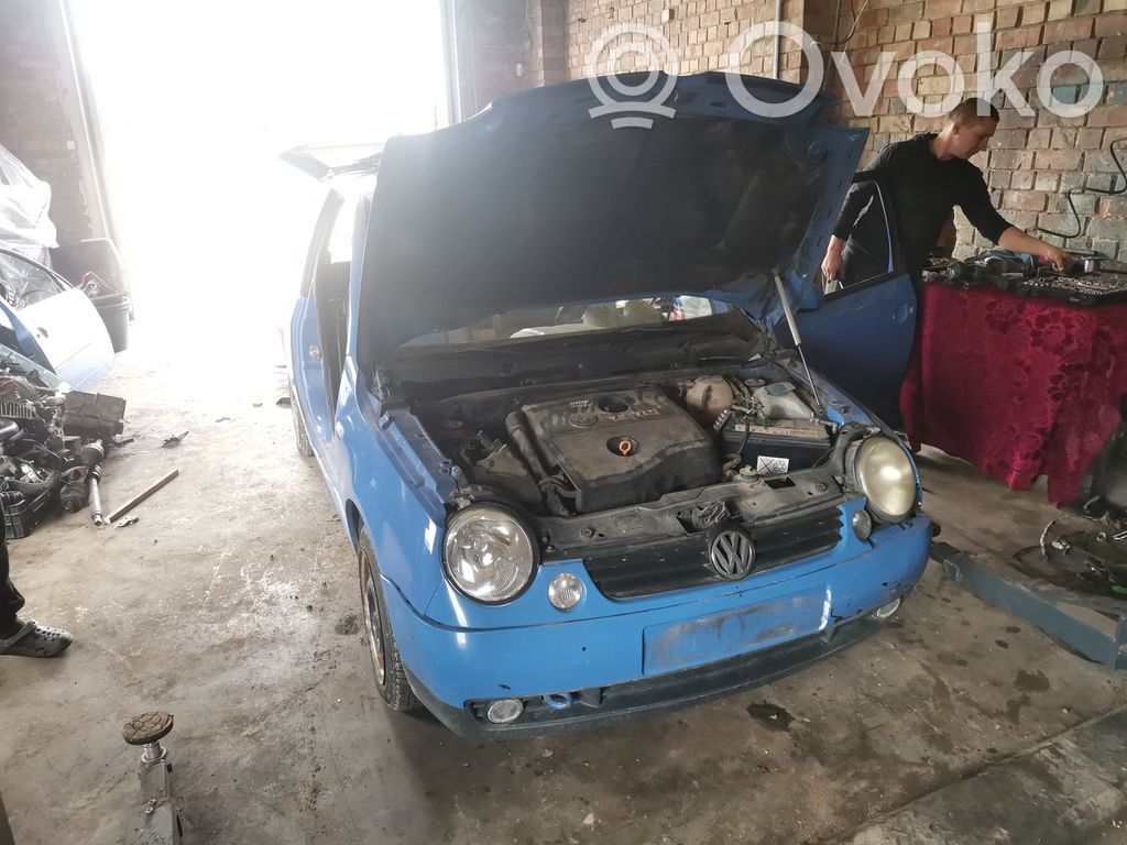 Lupo Lupo