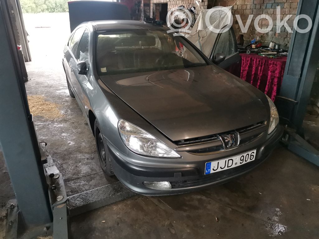 607 607  1925698