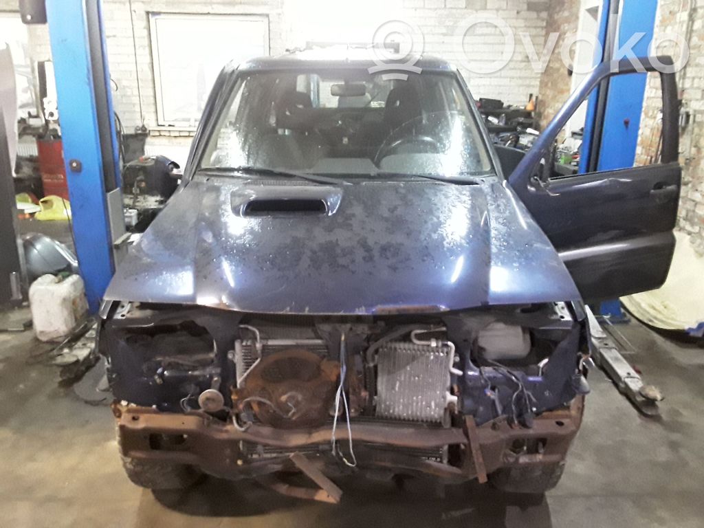 Terrano Terrano