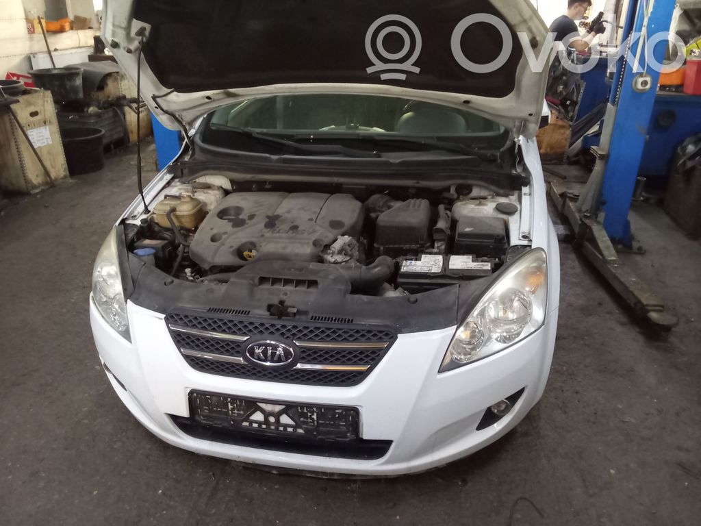 Ceed Ceed, Ceed SW, Pro Ceed