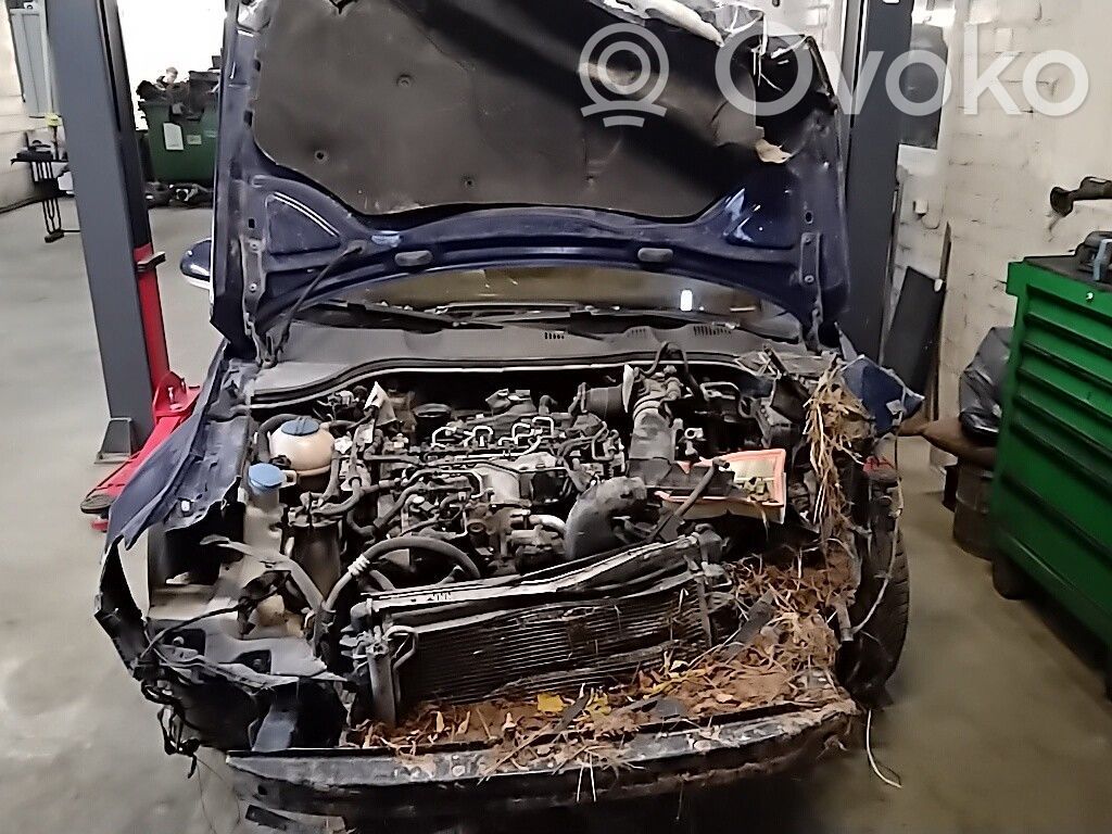 PASSAT B6 Passat