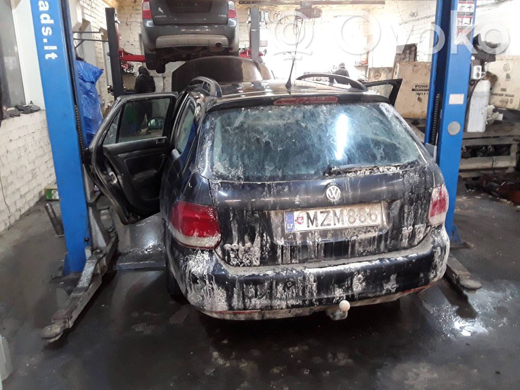 Golf V Golf  1005831320