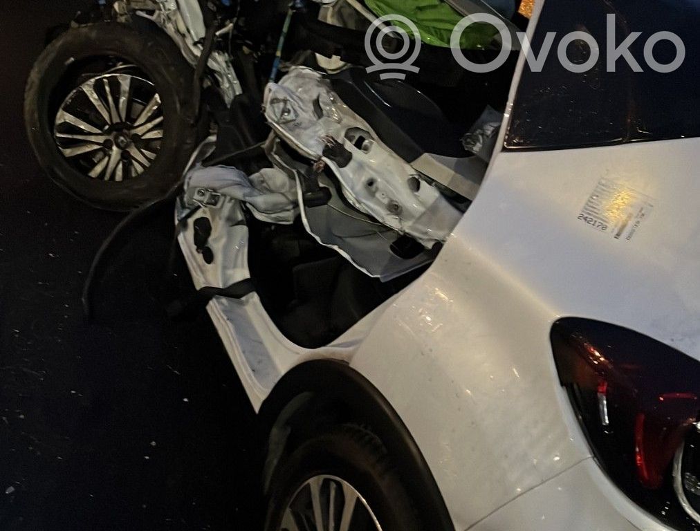 Captur Captur  850B24613R