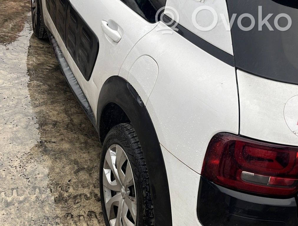 C4 Cactus C4 Picasso, Grand Picasso, Aircross, Cactus  1611428480