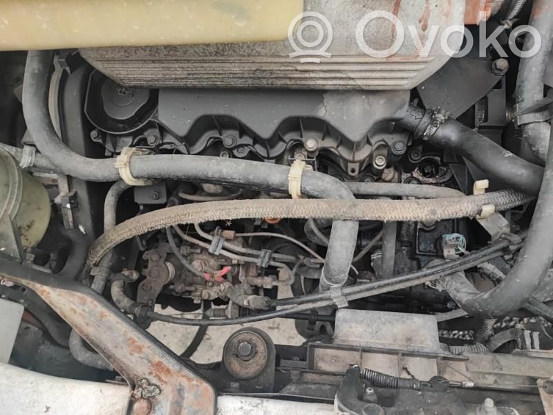 Boxer Boxer  5705E7