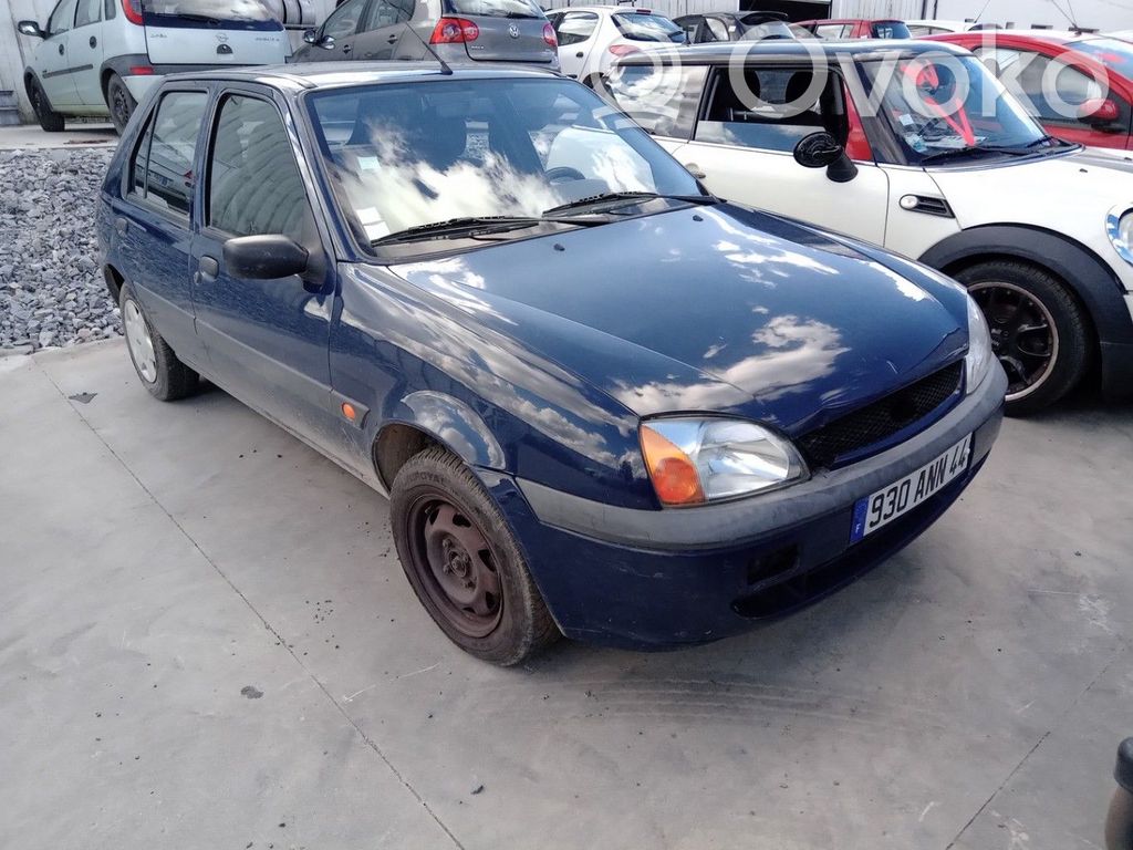 Fiesta Fiesta  4492403