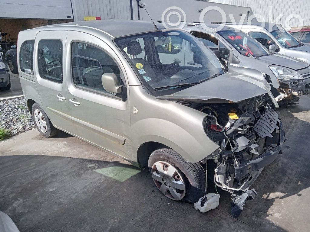Kangoo II Kangoo  8200419941