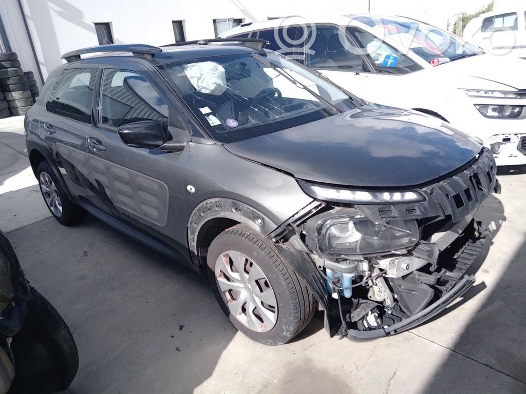 C4 Cactus C4 Picasso, Grand Picasso, Aircross, Cactus  1619251080