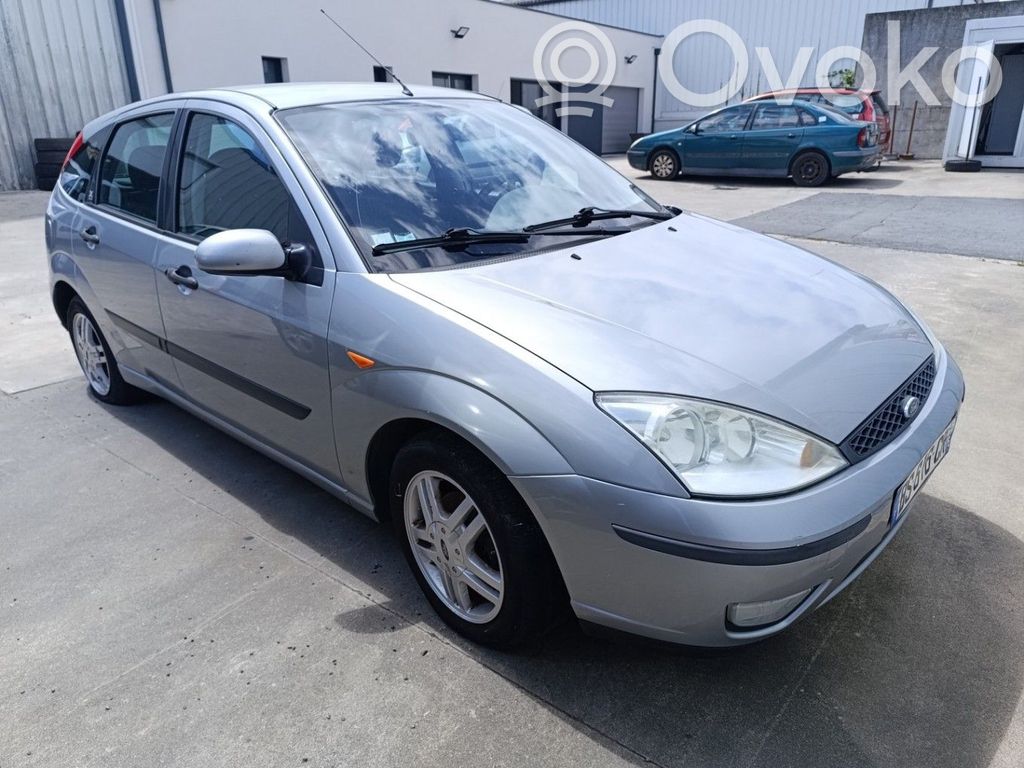 Focus Focus  1253062