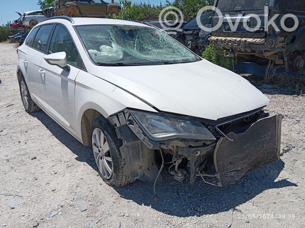 Leon (5F) Leon  6211806