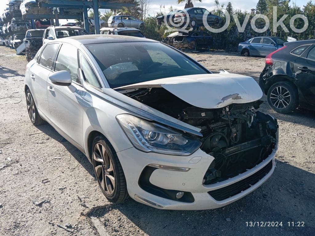 DS5 DS5