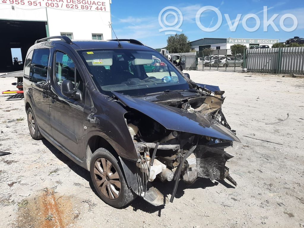Berlingo Berlingo  96594887XT