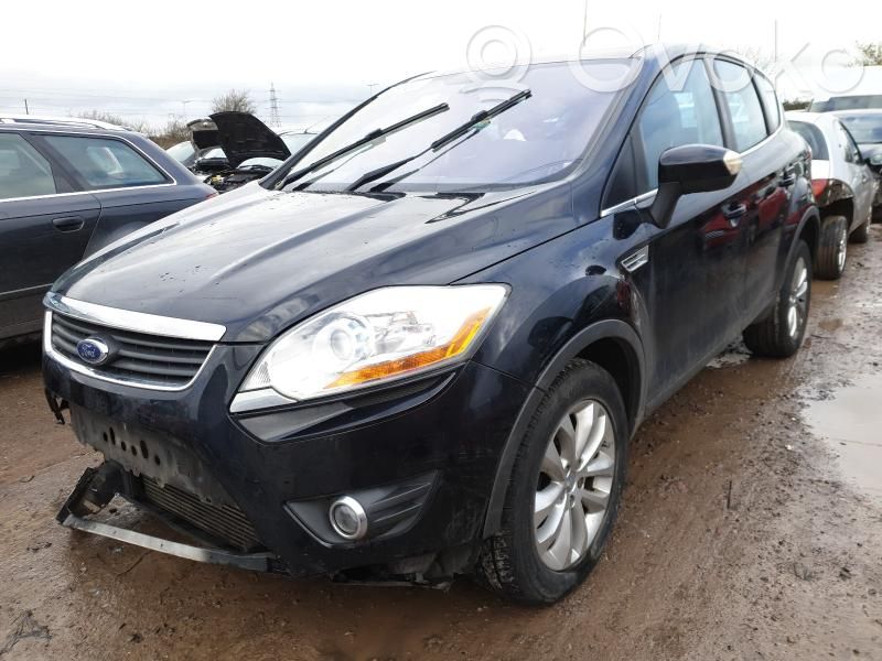 Kuga I Kuga