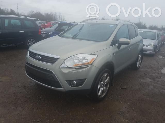 Kuga I Kuga