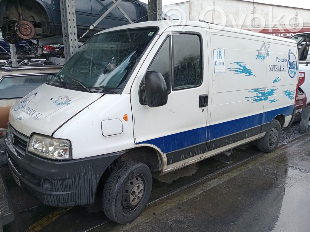 Ducato Ducato