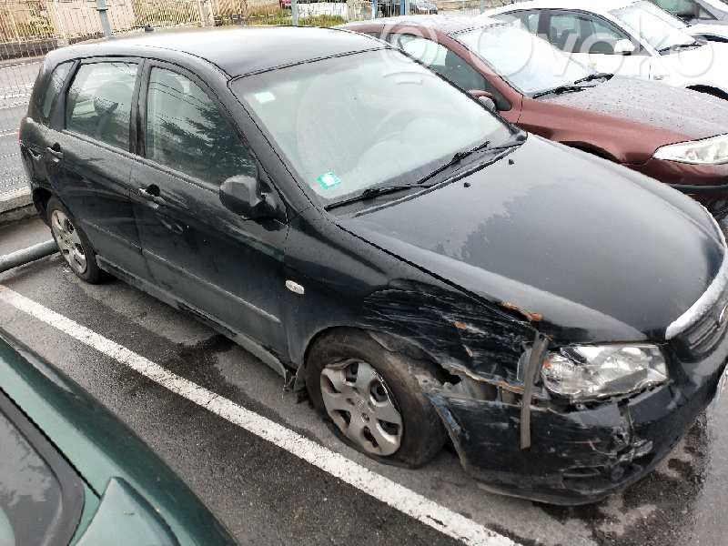 Cerato Cerato