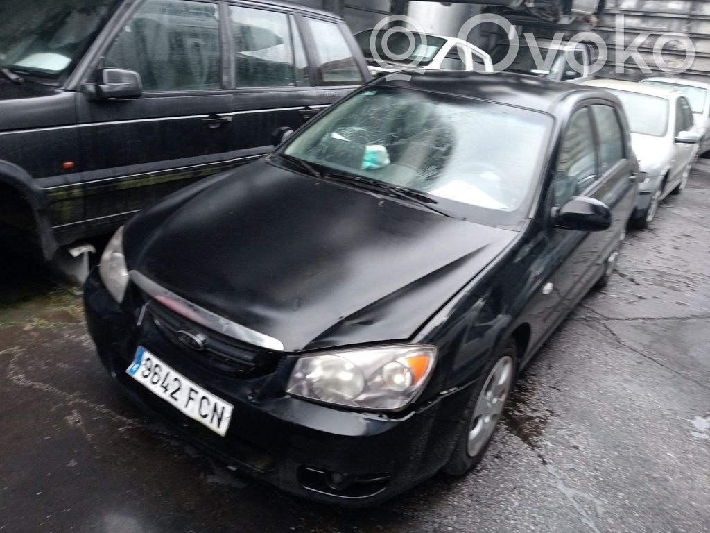 Cerato Cerato