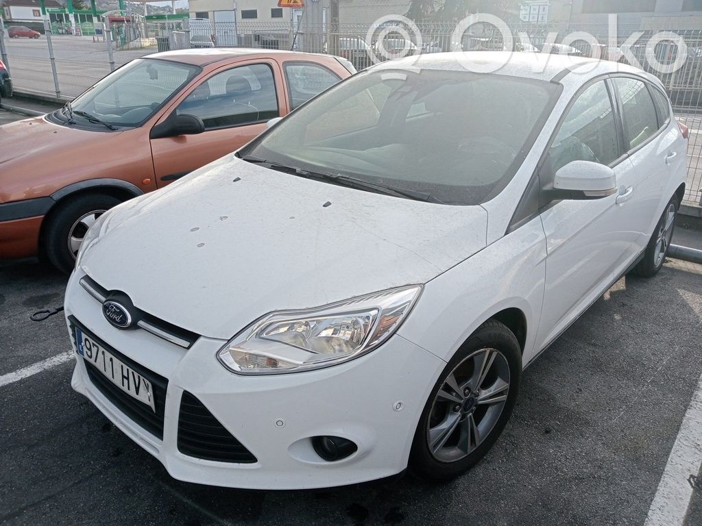 Focus Focus  10208054