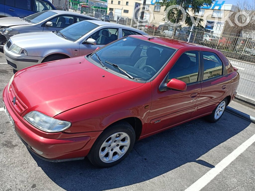 Xsara Xsara, Xsara Picasso