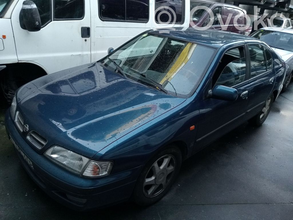 Primera Primera