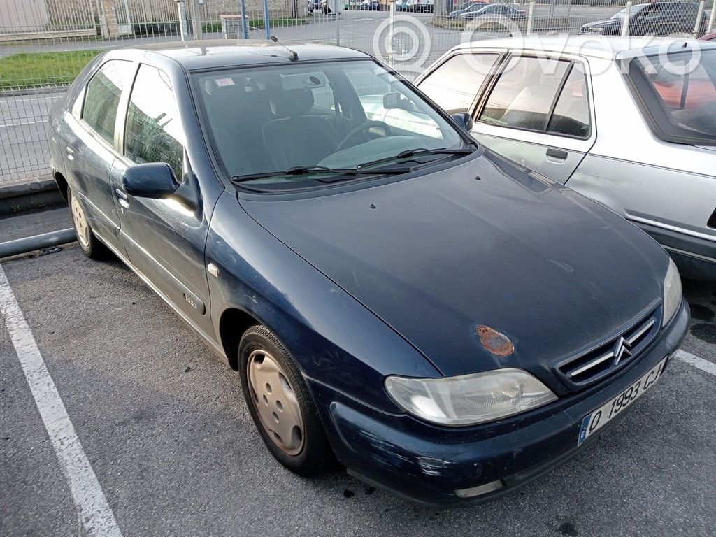 Xsara Xsara, Xsara Picasso