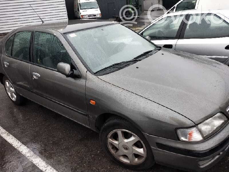 Primera Primera  36852A