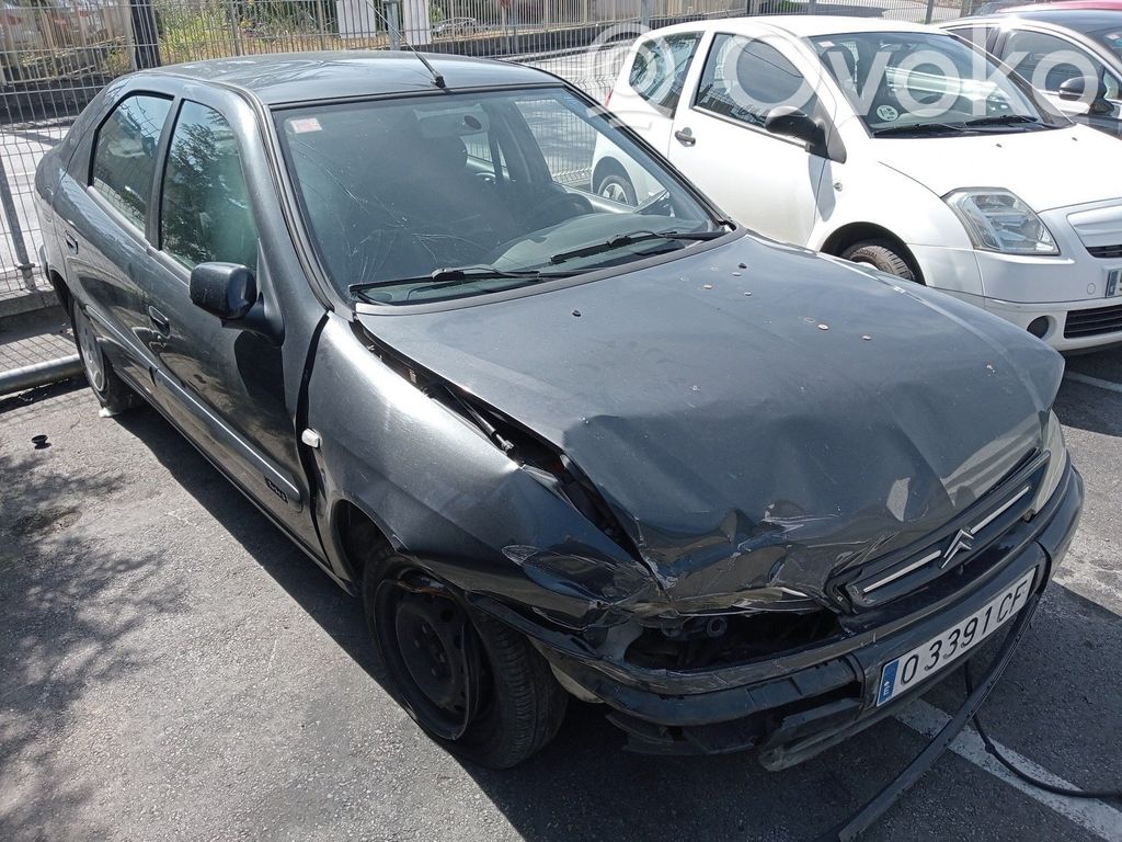 Xsara Xsara, Xsara Picasso