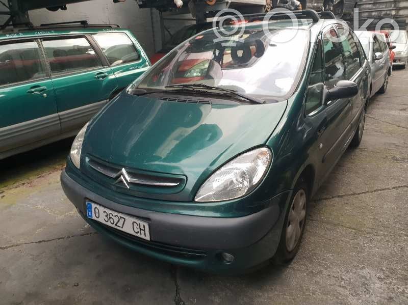 Xsara Xsara, Xsara Picasso