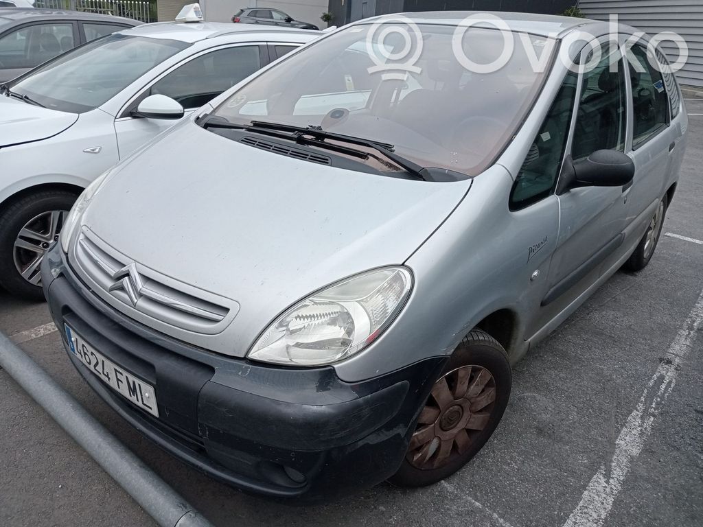 Xsara Xsara, Xsara Picasso