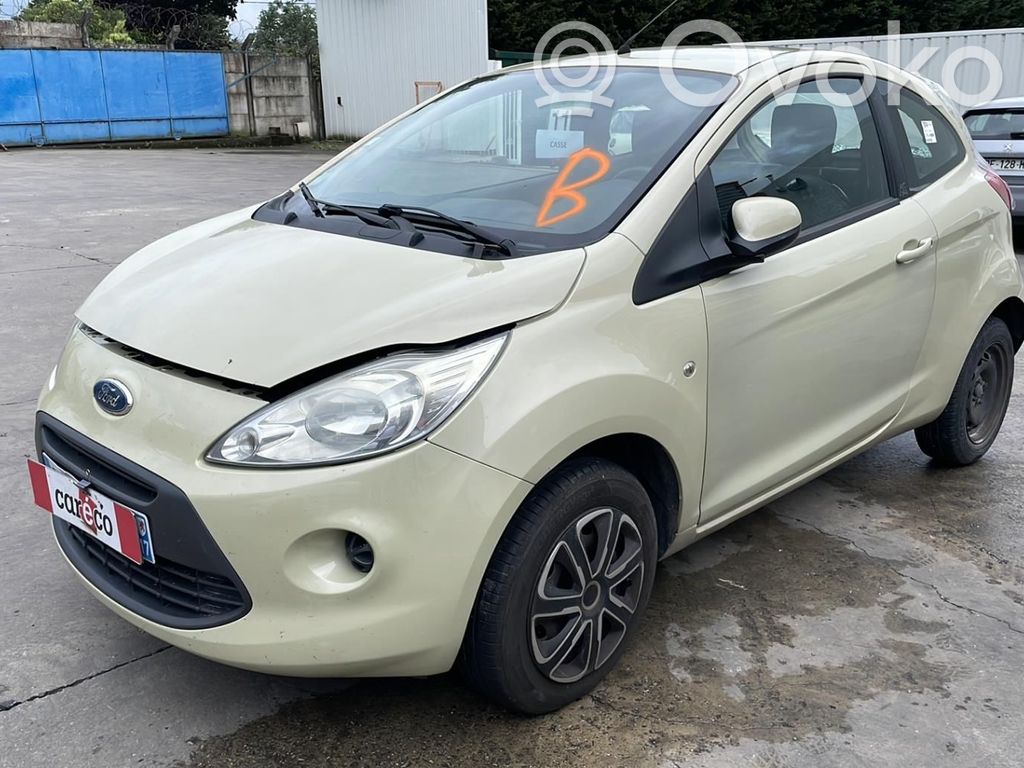 Ka Ka  1542363