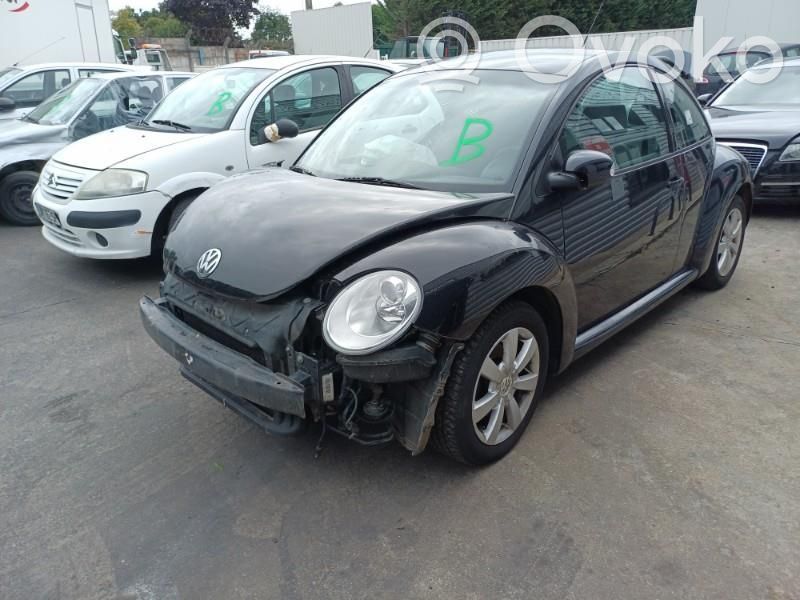 New Beetle Beetle