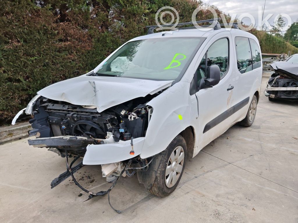Berlingo Berlingo  1606871380