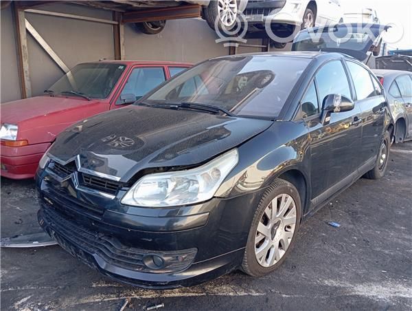 C4 I C4 Picasso, Grand Picasso, Aircross, Cactus  102602001
