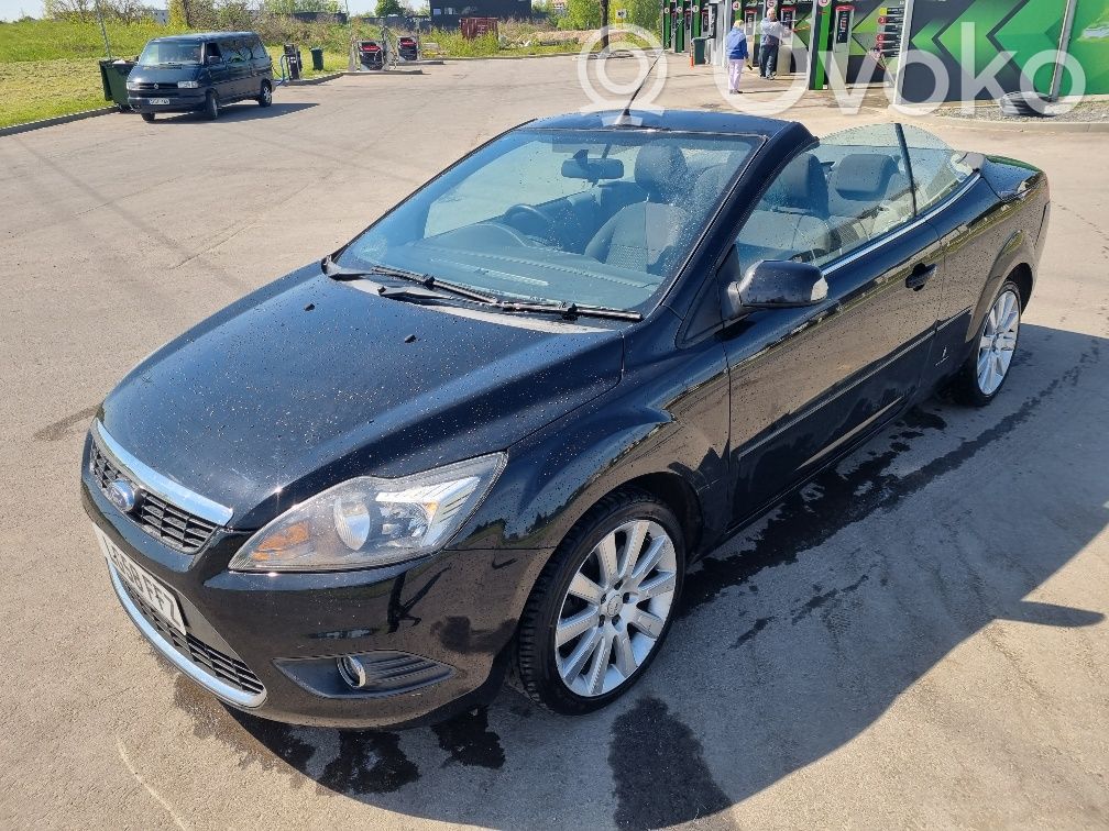 Focus Focus  11751B00