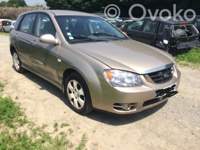 Cerato Cerato  924022F2R