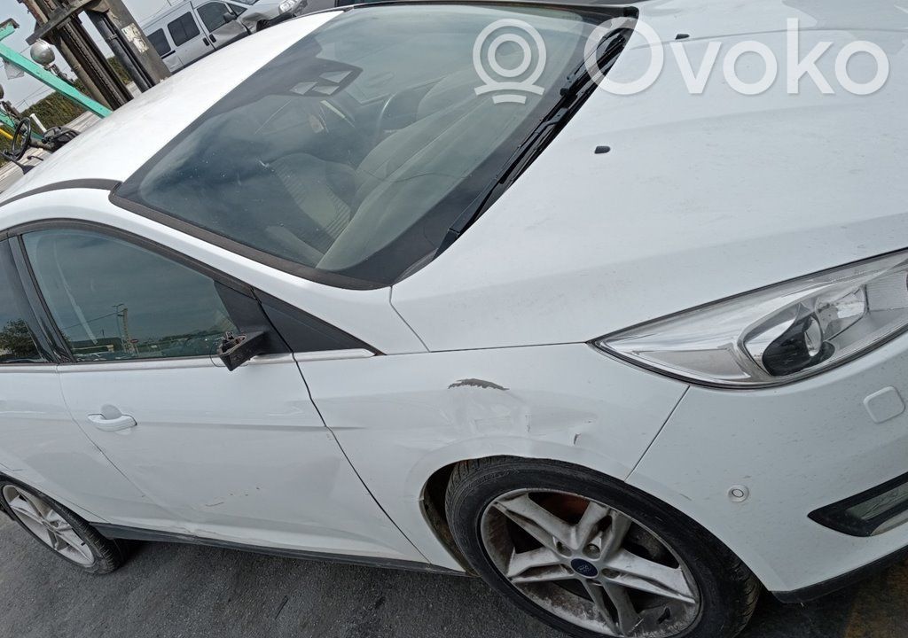Focus Focus  921755106