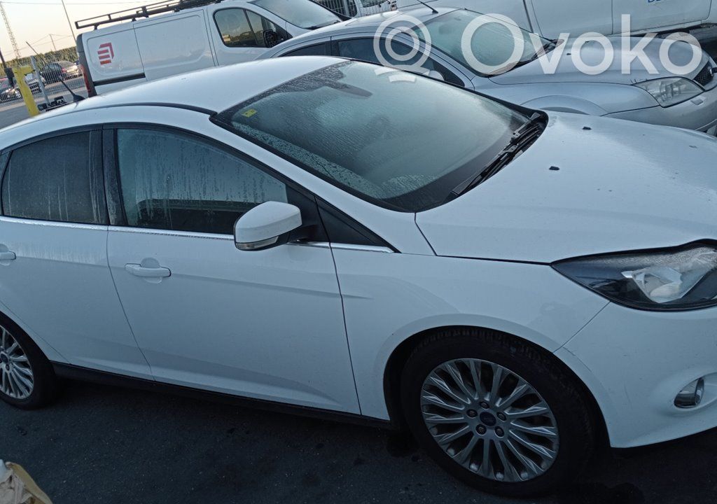 Focus Focus  1741637