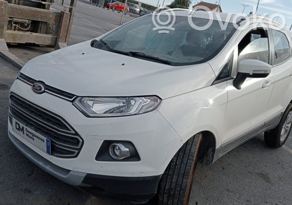Ecosport Ecosport  FN1BN400A12AB