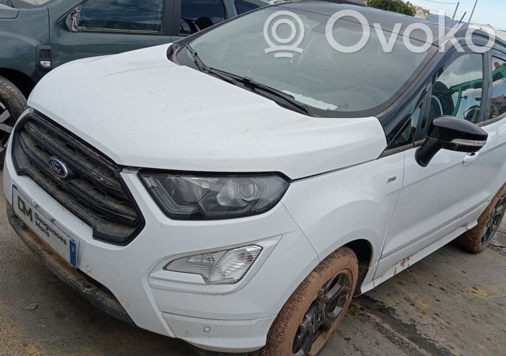 Ecosport Ecosport  2139358